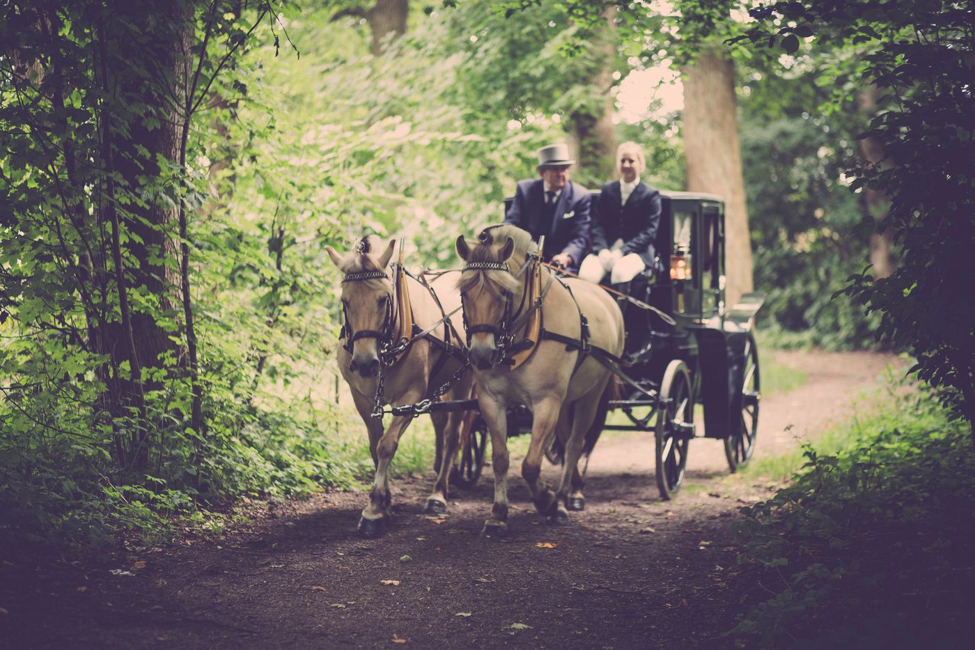 horse-drawn-carriage.jpeg
