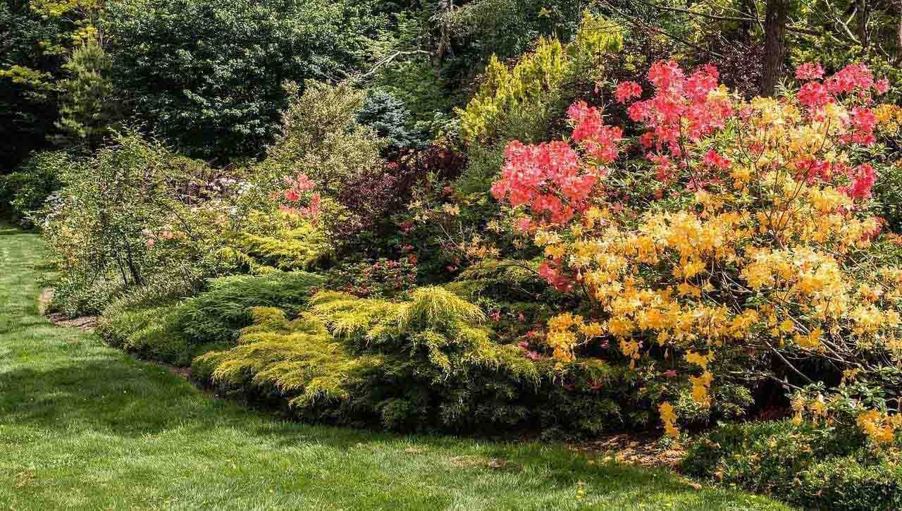 landscaping for fall around the pool
